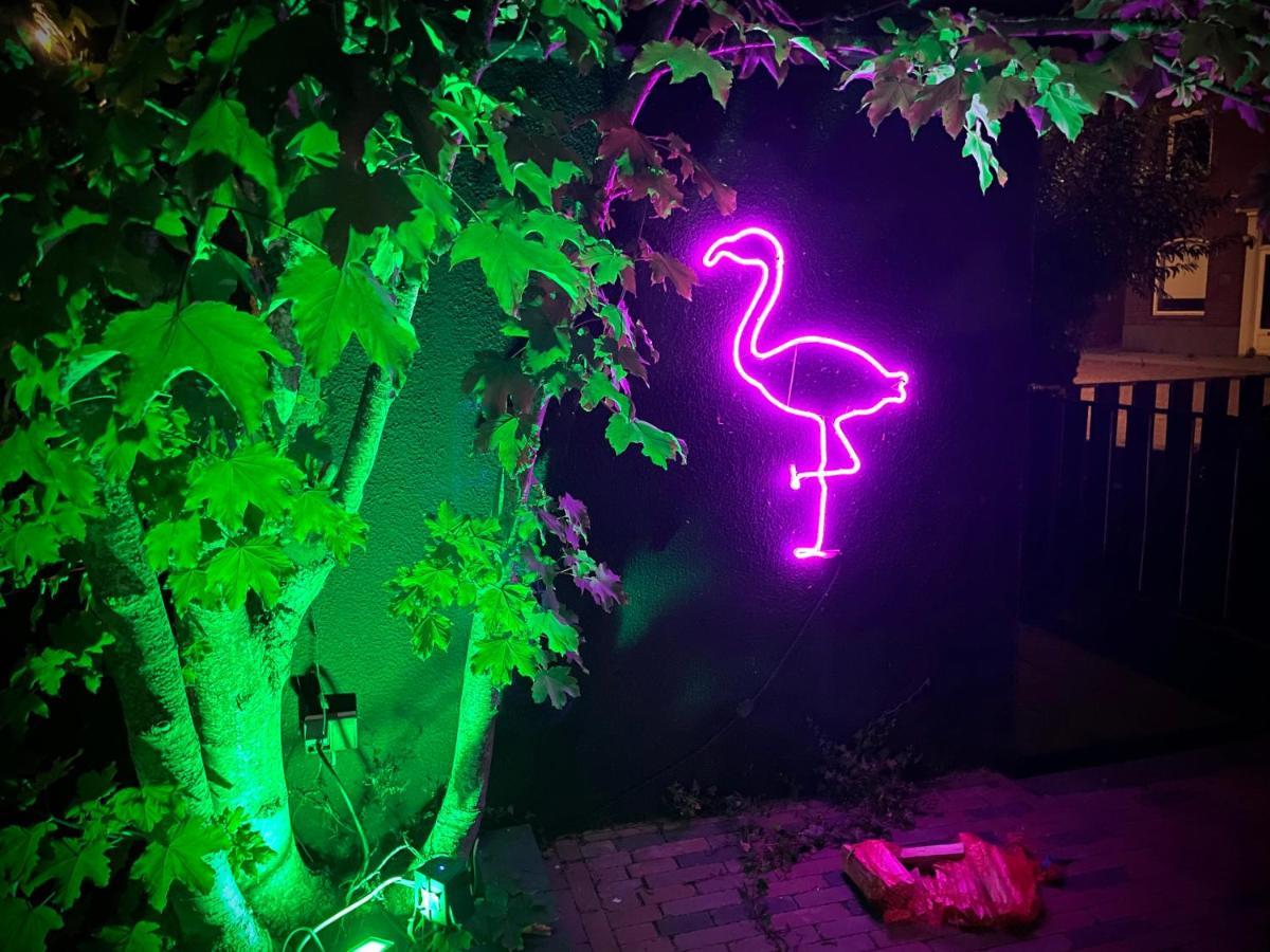 Flamingo Studio'S Zeeland 스쿤디키 외부 사진